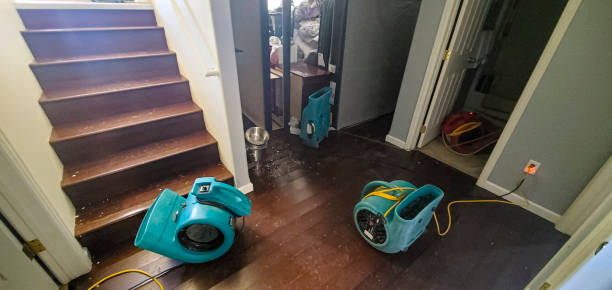 Best Local water damage restoration  in Sperry, OK
