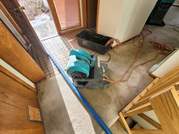 Best Local water damage restoration  in Sperry, OK