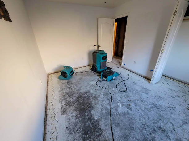 Carpet water damage restoration in Sperry, OK